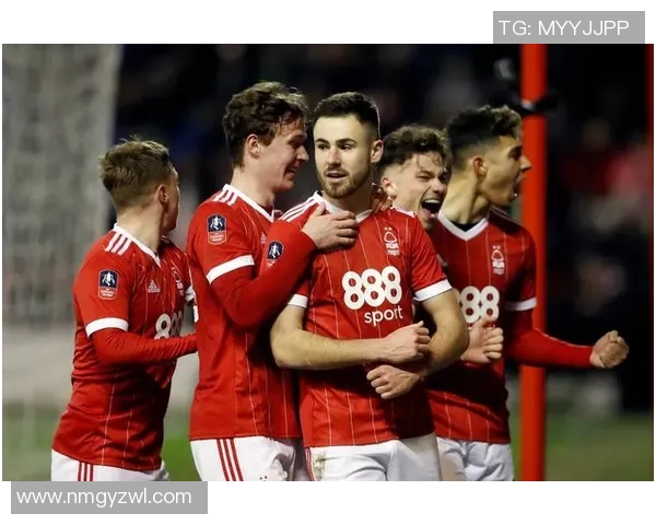 卡迪夫主场迎战埃弗顿双方争夺宝贵积分的精彩对决